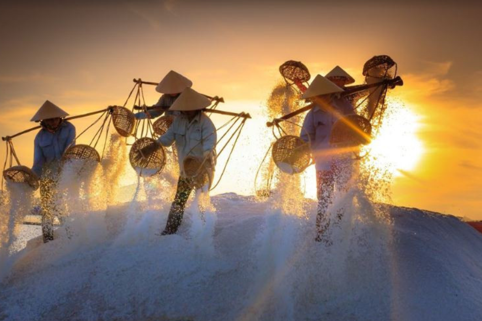 Khám phá top những làng nghề muối thu hút du khách: Khi hạt muối kể chuyện làng quê Việt
