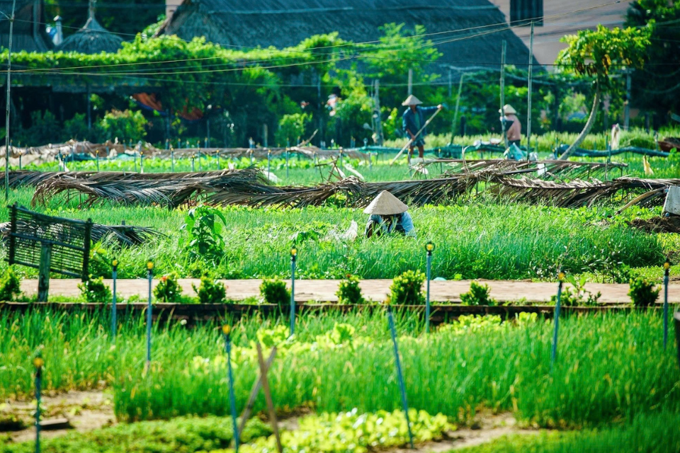 Khám phá top 5 làng nghề truyền thống Hội An: Hành trình lưu giữ hồn xưa phố cổ