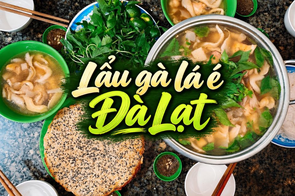 Lẩu gà lá é Đà Lạt: Nguồn gốc và TOP 10 quán ngon, nổi tiếng đáng thử