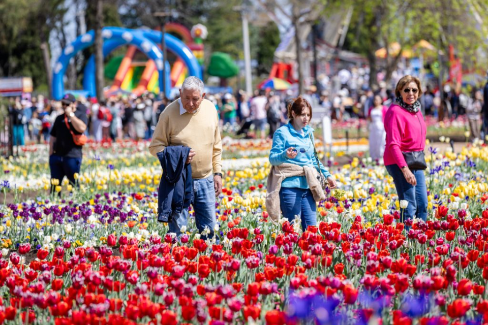 Du lịch Úc thưởng ngoạn lễ hội hoa Floriade vô cùng đặc sắc