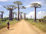 “Thiên nhiên 5 sao” ở Madagascar