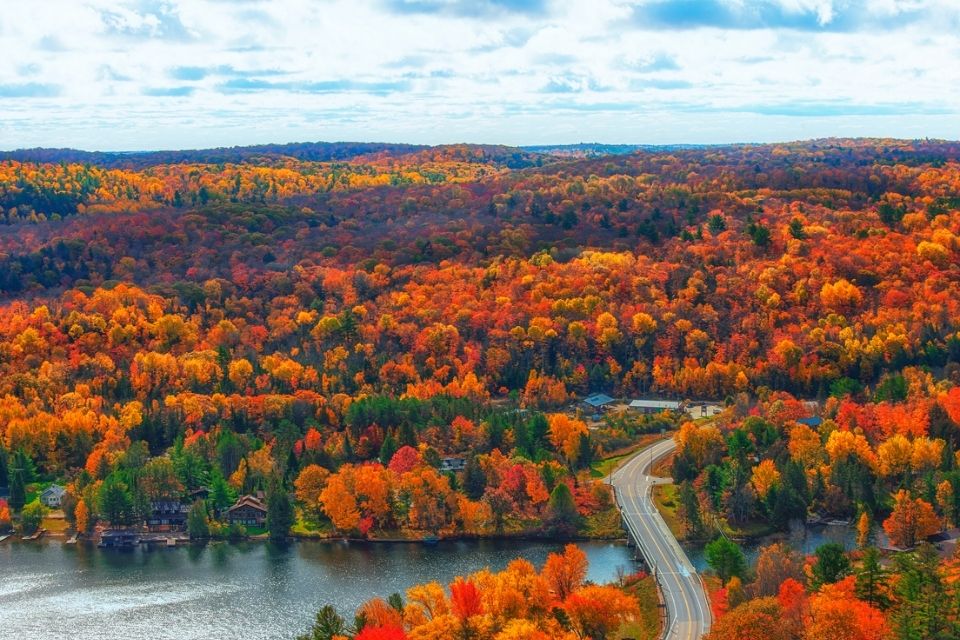 Mùa lá phong Canada vào tháng mấy? Top 10 điểm ngắm lá mùa thu đẹp nhất 2026