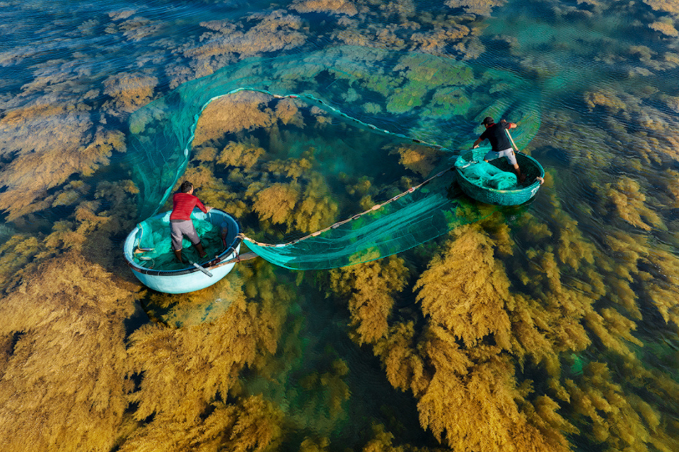 Du lịch mùa rong mơ Hòn Khô: Vẻ đẹp lãng mạn giữa lòng biển cả Gia Lai