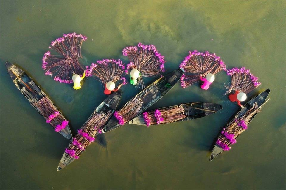 Mùa thu miền Tây có gì? Khám phá vẻ đẹp mùa nước nổi làm say lòng người