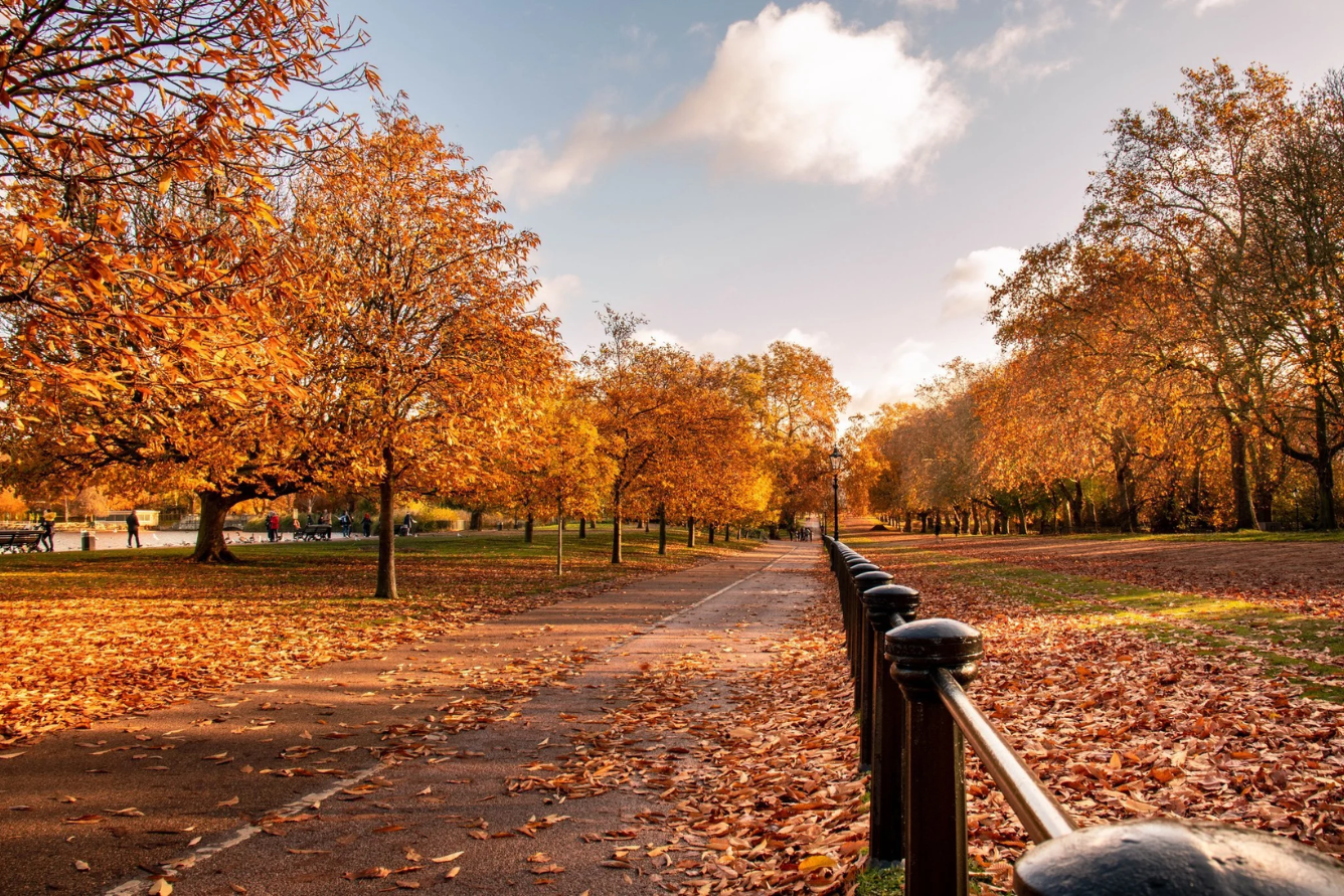 Ngắm mùa thu ở Công viên Hoàng gia London: Vẻ đẹp lãng mạn và quyến rũ khó cưỡng