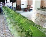 Gói cây nem dài nhất chào mừng Festival Biển “Nha Trang - Điểm hẹn” 