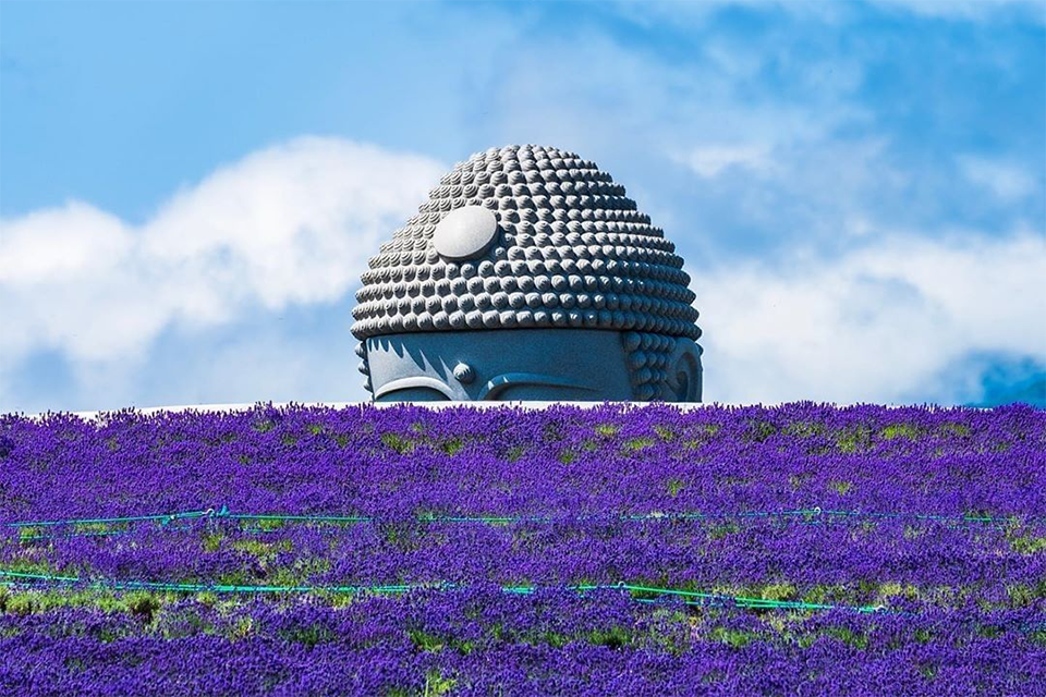 Khám phá ngọn đồi của Đức Phật ở Hokkaido: Atama Daibutsu – Hành trình tĩnh lặng giữa sắc tím hoa oải hương