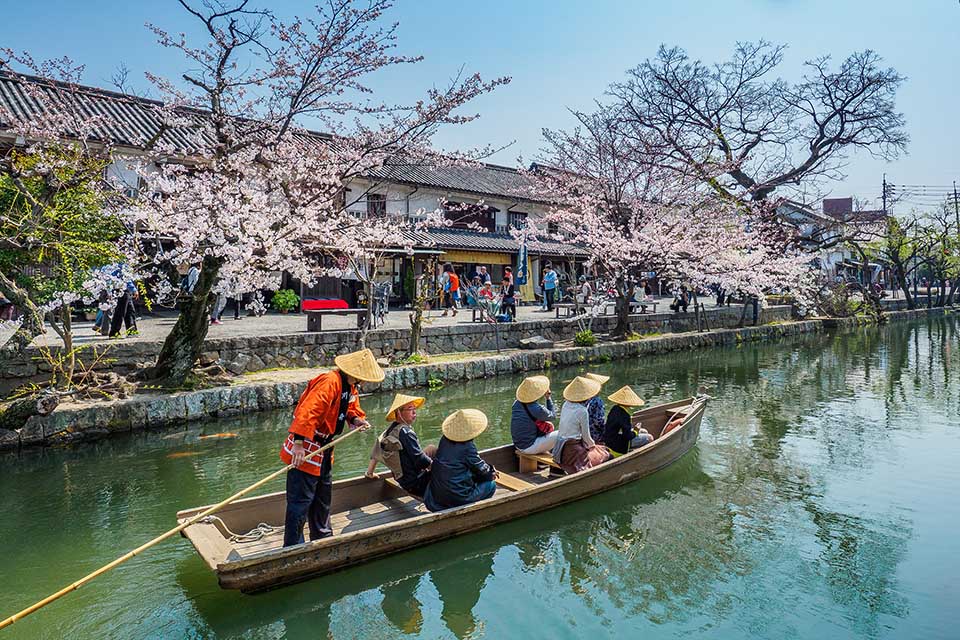 Khám phá Nhật Bản mùa hoa anh đào: Takamatsu - Kobe - Kyoto - Osaka - Fukushima
