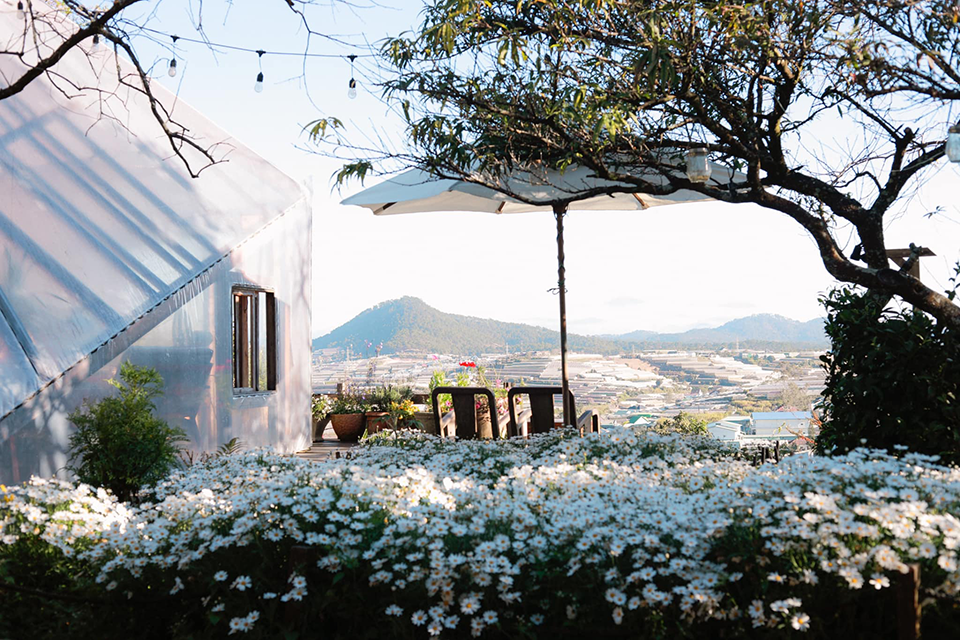 Quán cafe đẹp ở Đà Lạt cho tín đồ sống ảo, chill từ khung hình đến tâm hồn