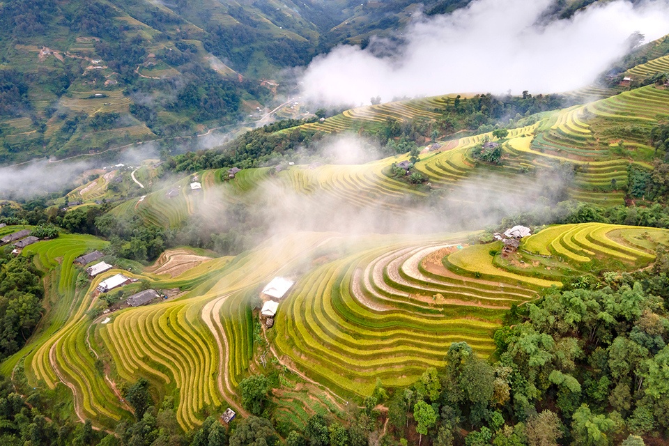 Top 12 Ruộng Bậc Thang đẹp nhất Việt Nam - Bức tranh bình yên, thơ mộng