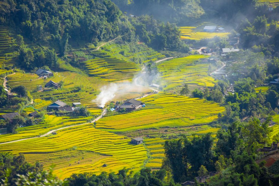 Sapa mùa lúa chín tháng nào đẹp? Top địa điểm check-in "hết nước chấm”