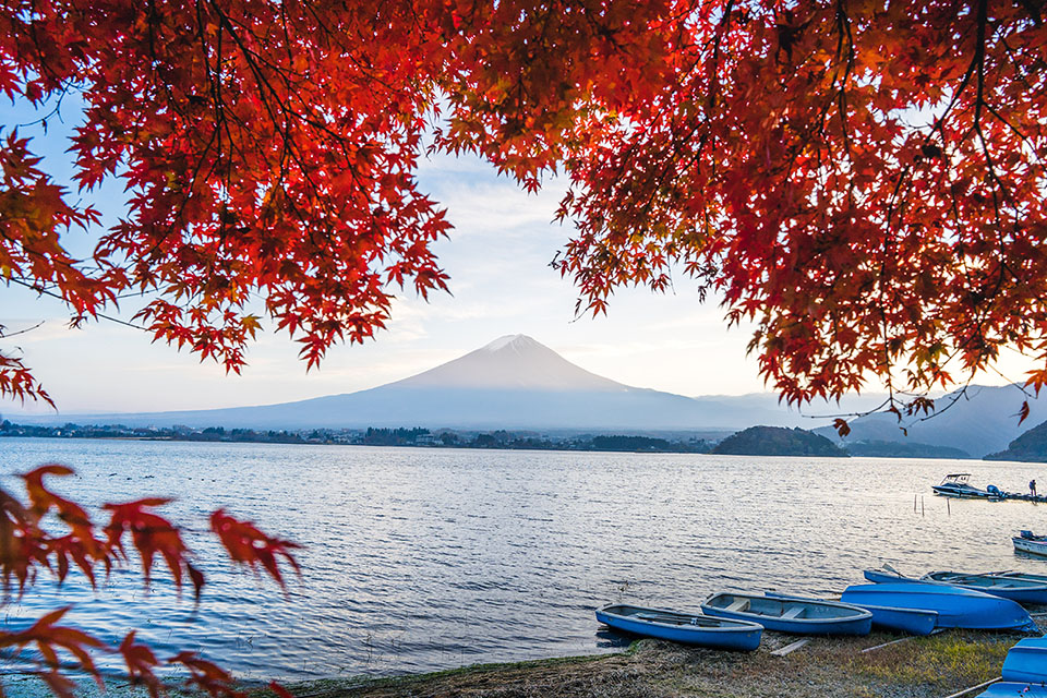 “Săn ảnh” mùa lá đỏ ở Nhật Bản