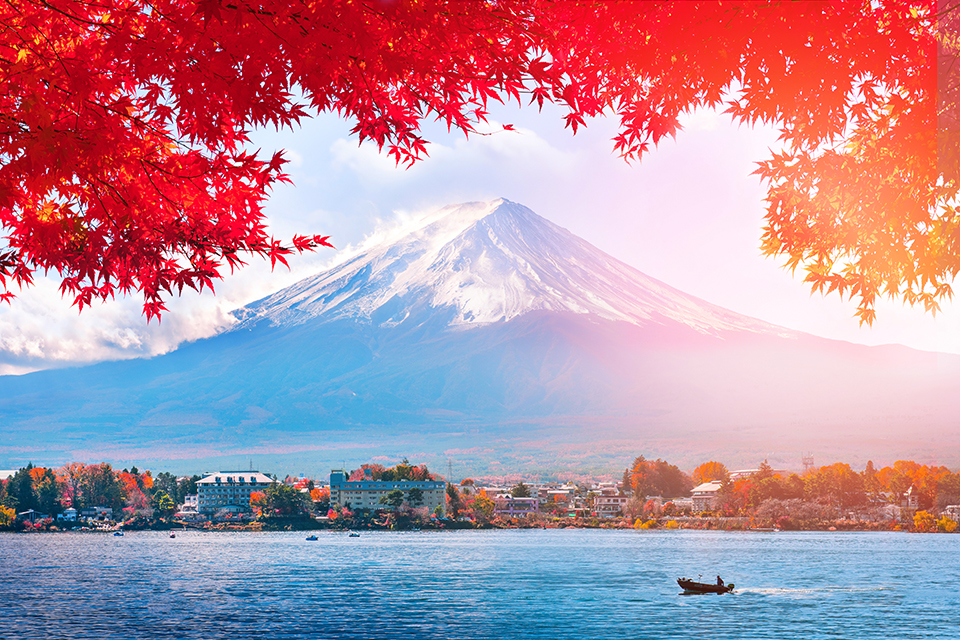 Núi Phú Sĩ mùa lá đổ - Cảnh đẹp và cách tận hưởng Nhật Bản mùa thu tuyệt vời