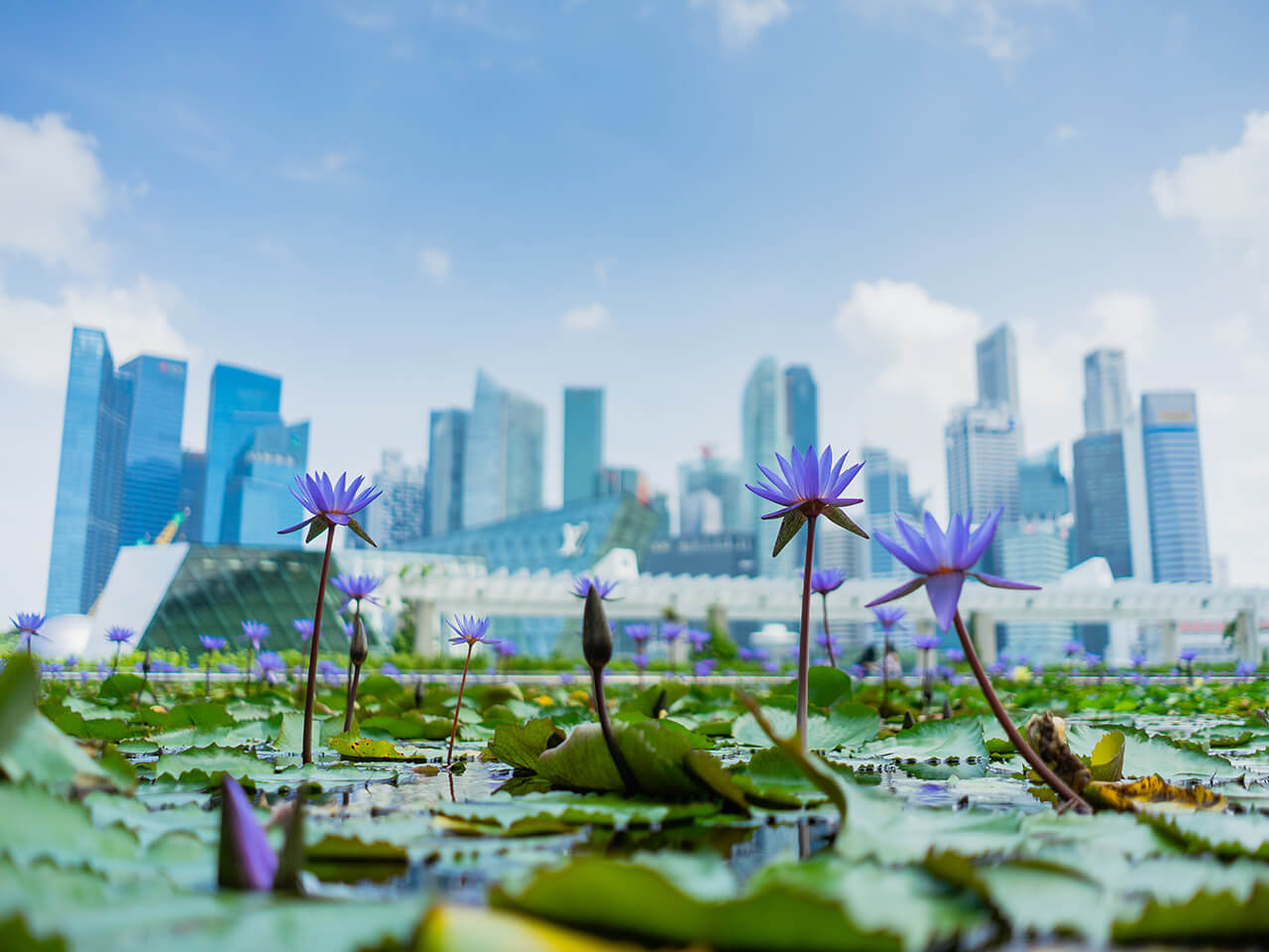 8 things you need to know before visiting Singapore