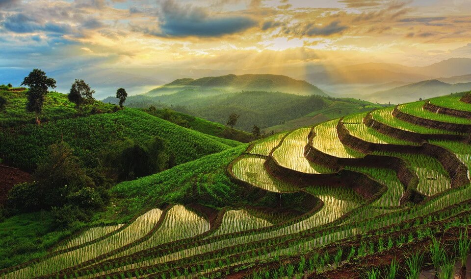 Đến Thái Lan khám phá bí quyết thành công của nông nghiệp