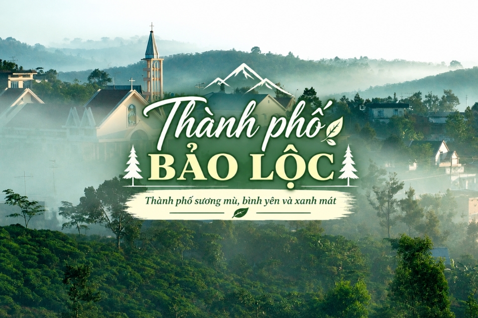 Thành phố Bảo Lộc: Kinh nghiệm khám phá xứ trà Lâm Đồng