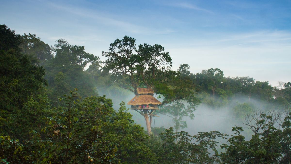 In Laos, spend the night in the world's tallest treehouses
