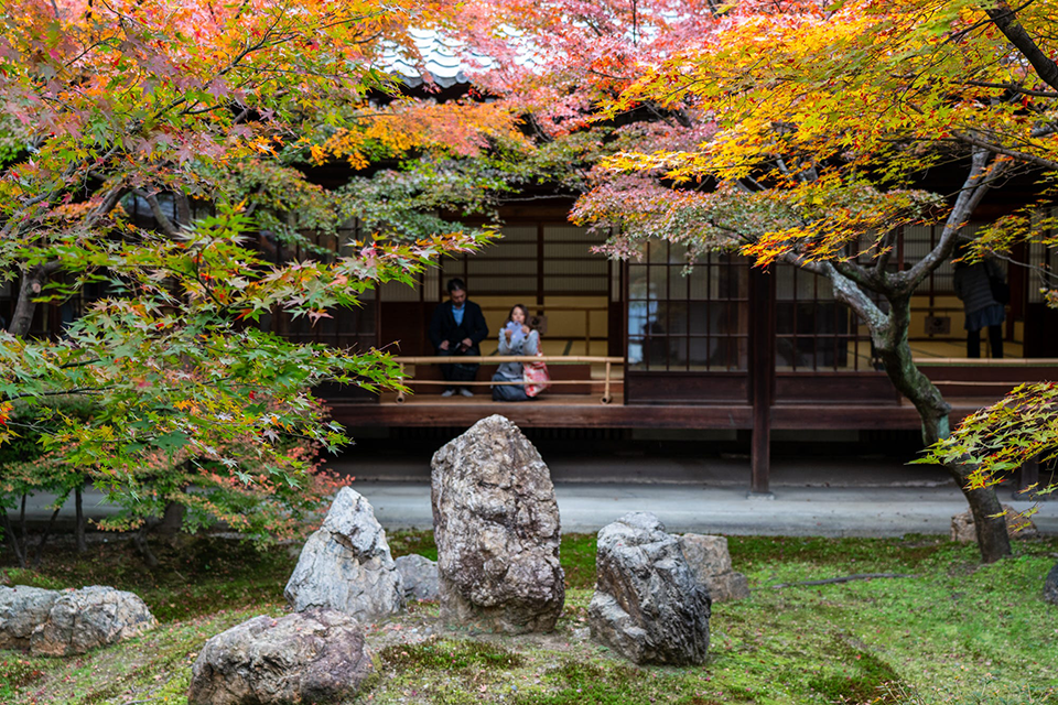 Du lịch Kyoto mùa thu: Thời điểm ngắm lá đỏ đẹp nhất