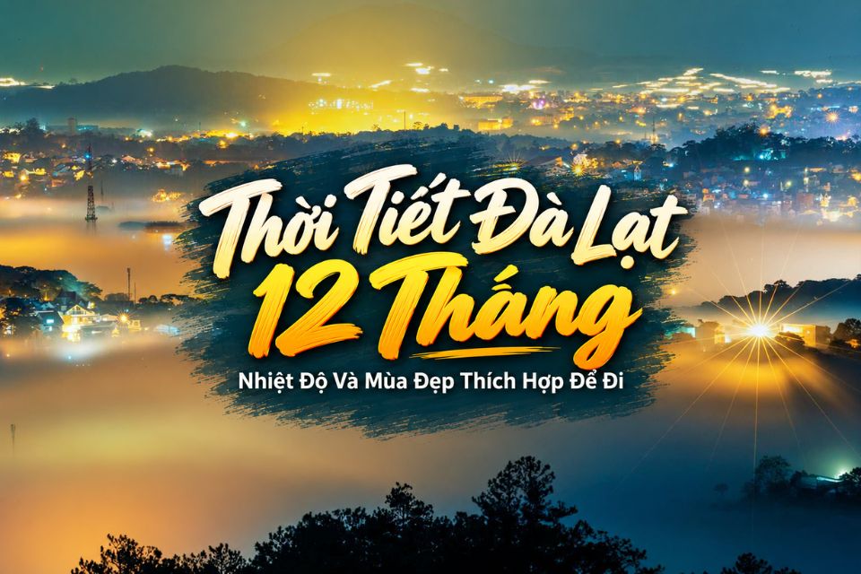 Thời Tiết Đà Lạt 12 Tháng: Nhiệt Độ Và Mùa Đẹp Thích Hợp Để Đi