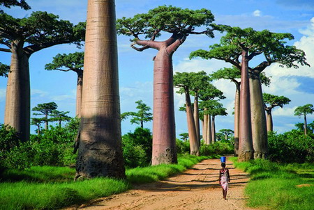 Madagascar - có thể bạn chưa biết