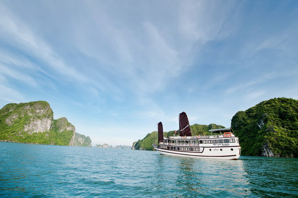 Admire Halong bay from a cruise