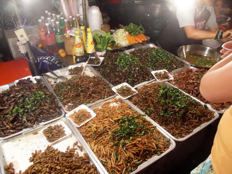 Ký sự Thái Lan - Phần 2: Đến "Thành phố ma quỷ" ăn côn trùng