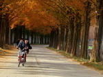Con đường mòn đẹp như cổ tích ở Hàn Quốc