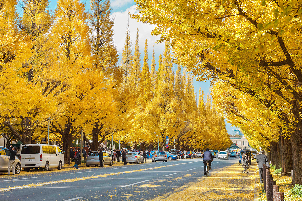  Top 5 trải nghiệm nhất định phải thử khi du lịch Nhật Bản mùa thu