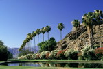 Vui chơi ở Palm Springs