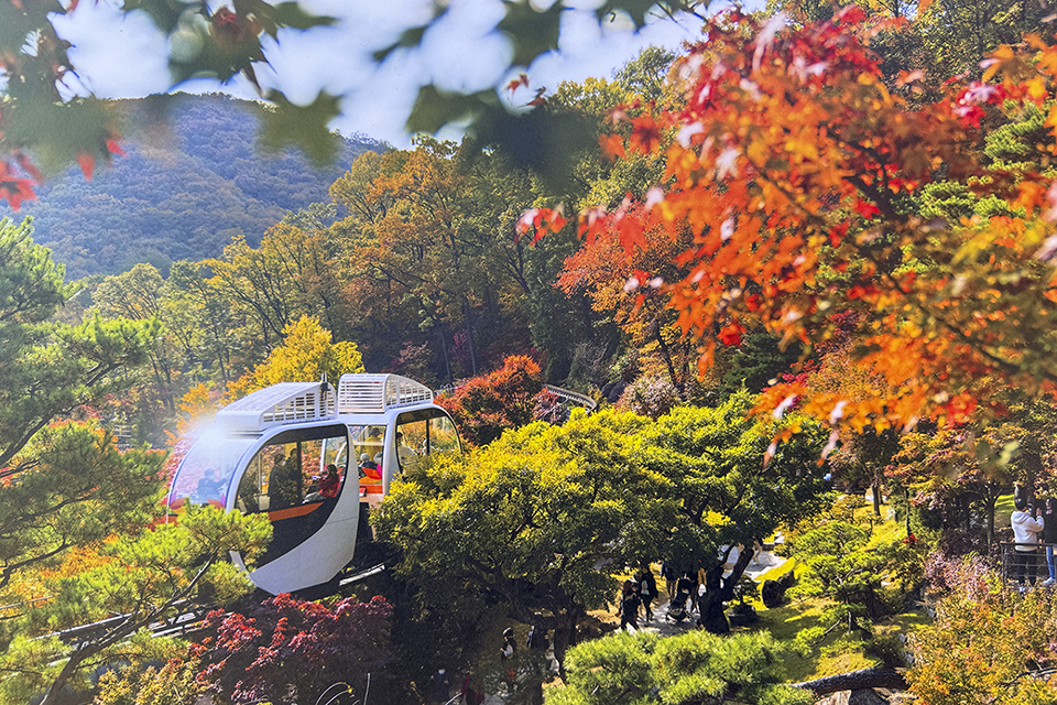 Vườn Bách Thảo Hwadam – Điểm đến gần Seoul lý tưởng cho du lịch Hàn Quốc mùa thu