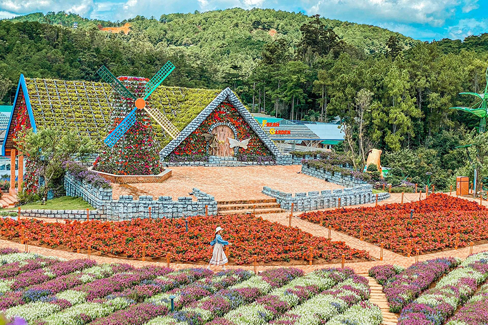 Khám phá 5 vườn hoa đẹp nhất Đà Lạt mùa hè - Điểm đến không thể bỏ qua trong năm 2025 này
