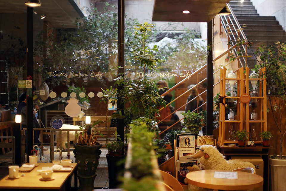 Khám phá xu hướng ẩm thực Hàn Quốc mới: Pet café & dessert sáng tạo lên ngôi
